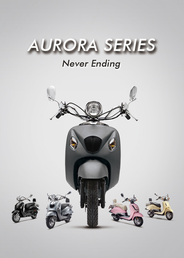 ZHONGNENG VEHICLE GROUP CO.,LTD.